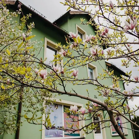 Magnolia Stronie Śląskie