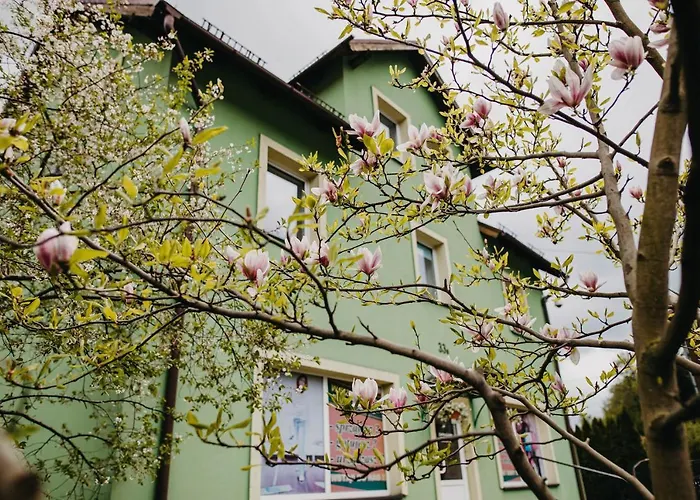 Magnolia Stronie Slaskie