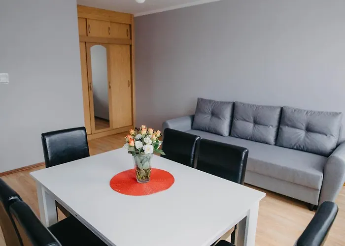 Magnolia Apartment Stronie Slaskie